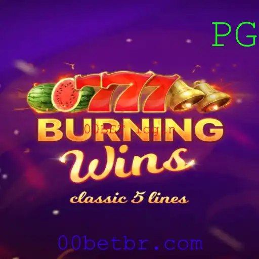 Descrição e Regras do Jogo BurningWins